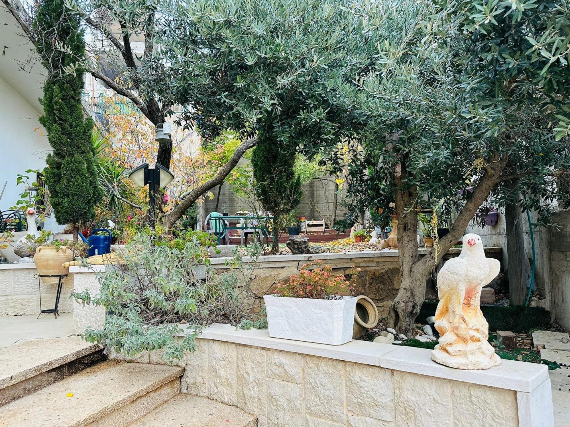 Hermon Accommodation Majdal Shams Rom bilde